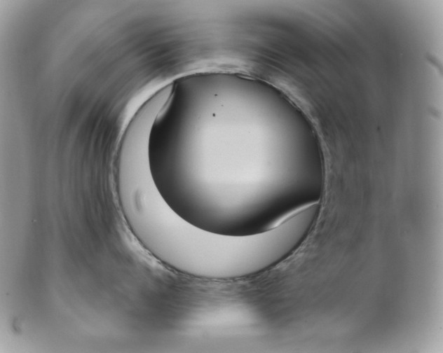 X0000102410960200808221908