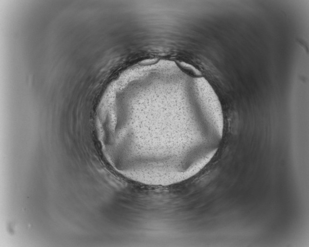 X0000102410961200808221908