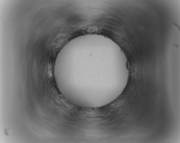 X0000102410962200808221908