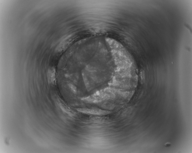 X0000102410963200808221908