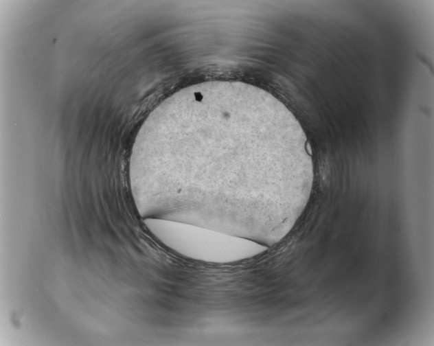 X0000102410964200808221908