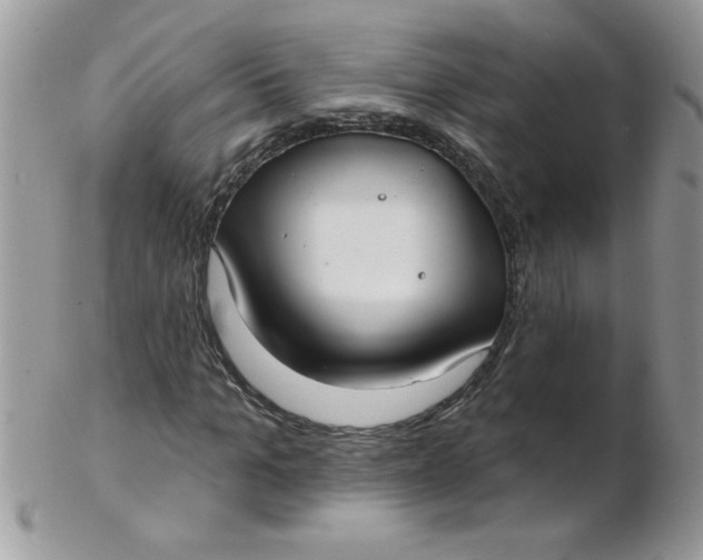 X0000102410965200808221908