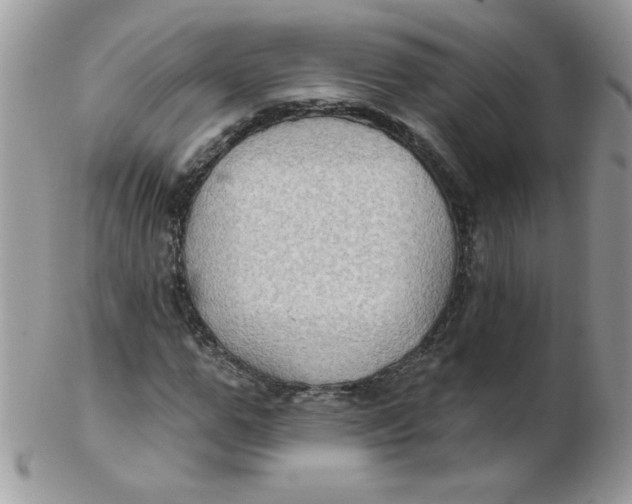 X0000102410967200808221908