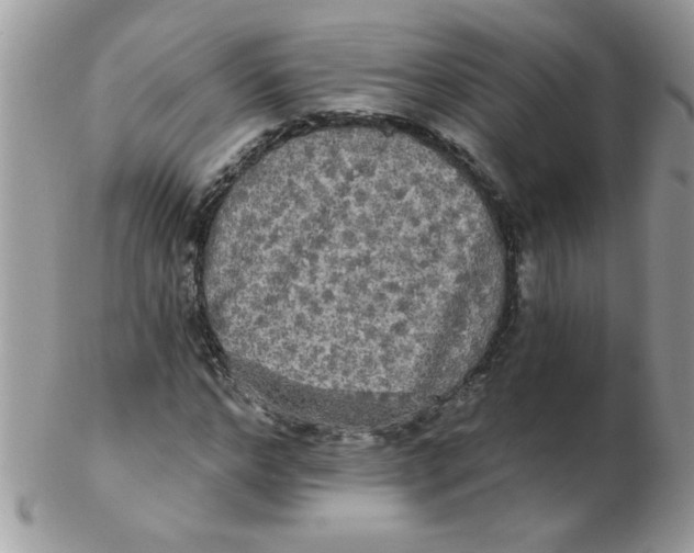 X0000102410968200808221908