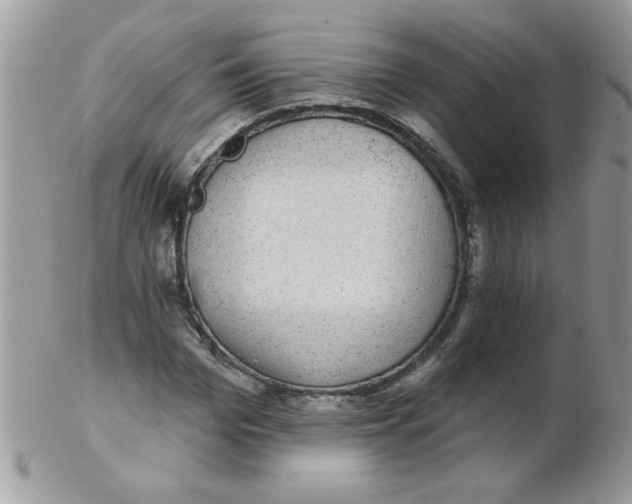 X0000102410969200808221908