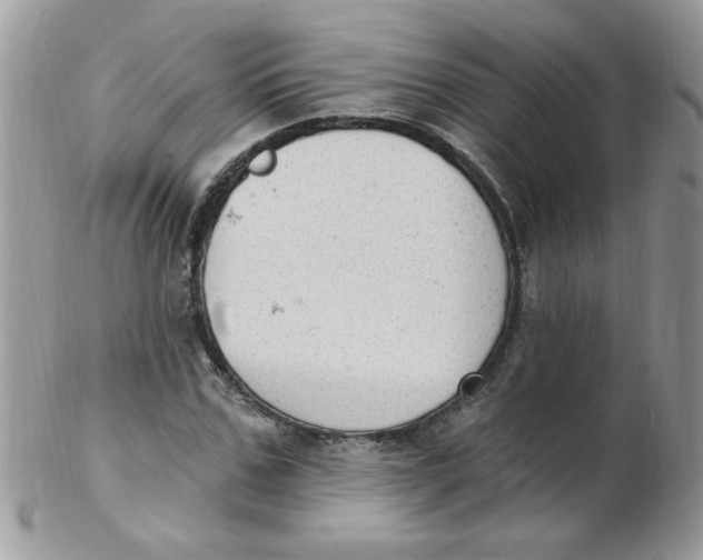 X0000102410971200808221908