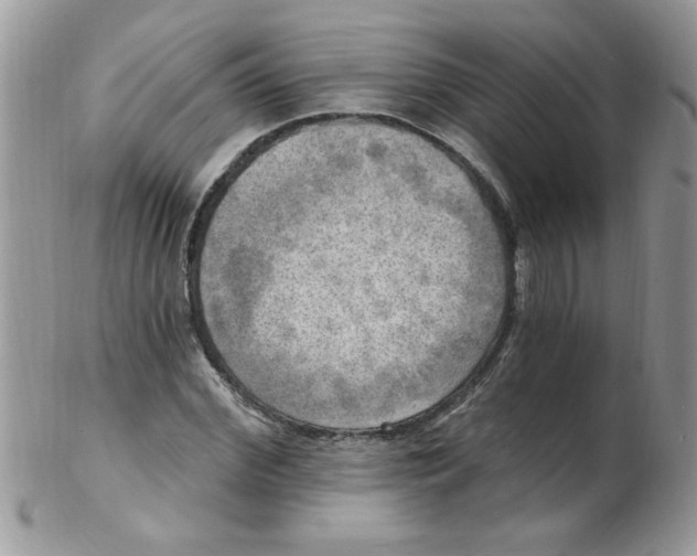 X0000102410972200808221908