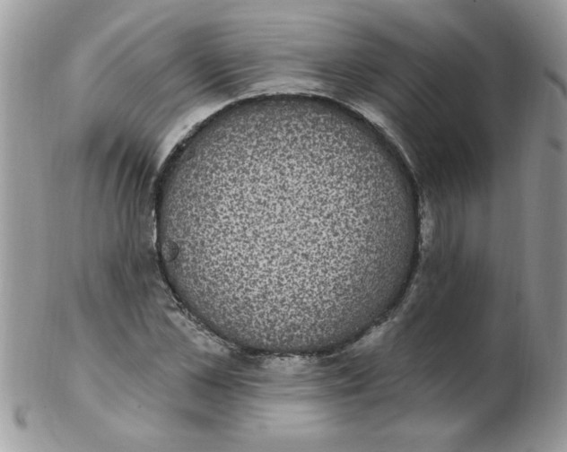 X0000102410973200808221908