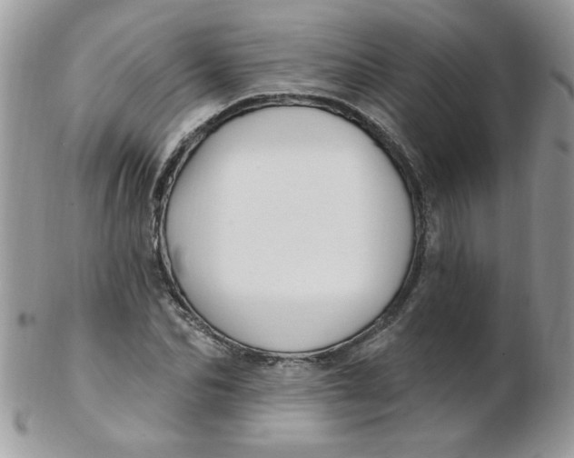 X0000102410974200808221908