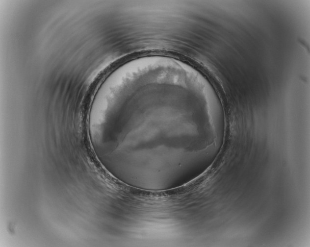 X0000102410975200808221908