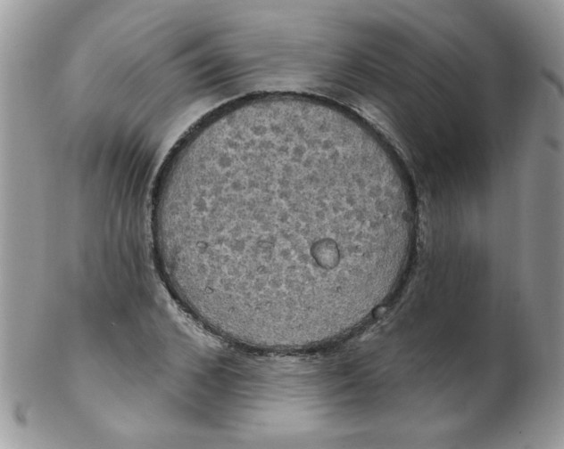 X0000102410976200808221908