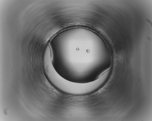 X0000102410977200808221908