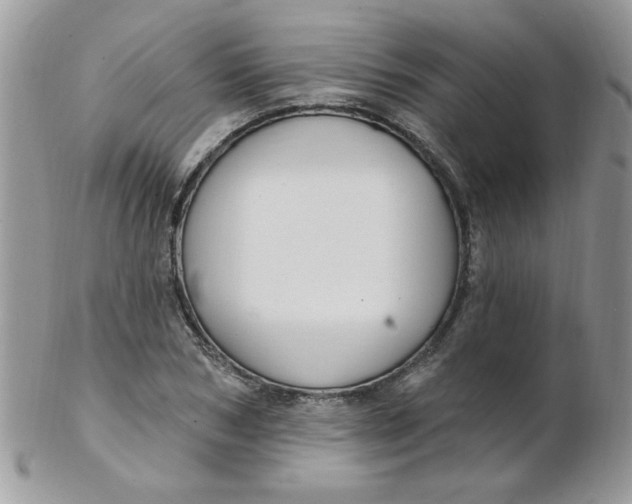 X0000102410978200808221908