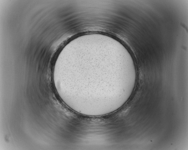 X0000102410979200808221908