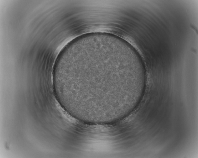 X0000102410980200808221908