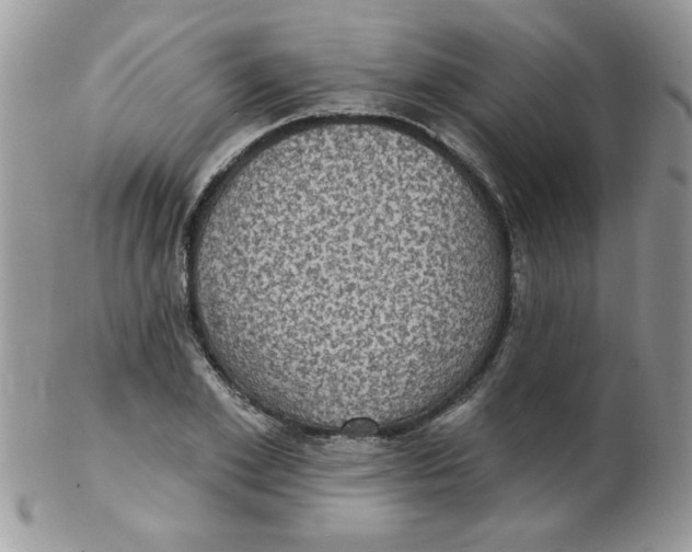 X0000102410981200808221908