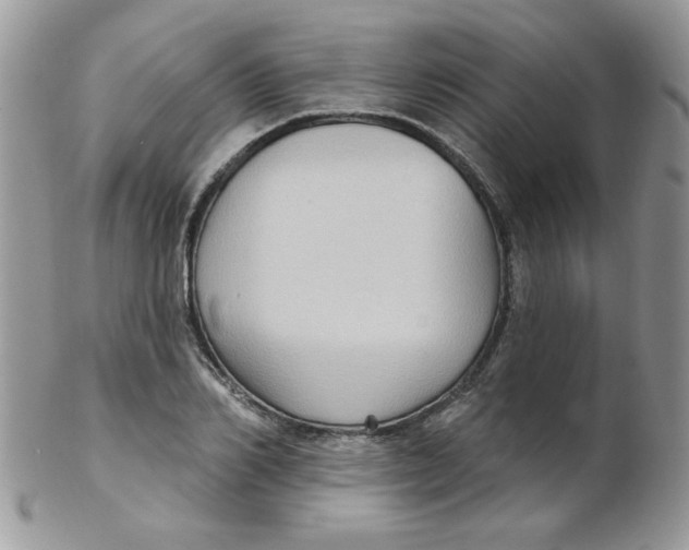 X0000102410982200808221908