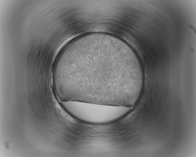 X0000102410984200808221908