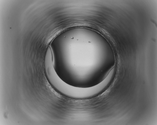 X0000102410985200808221907