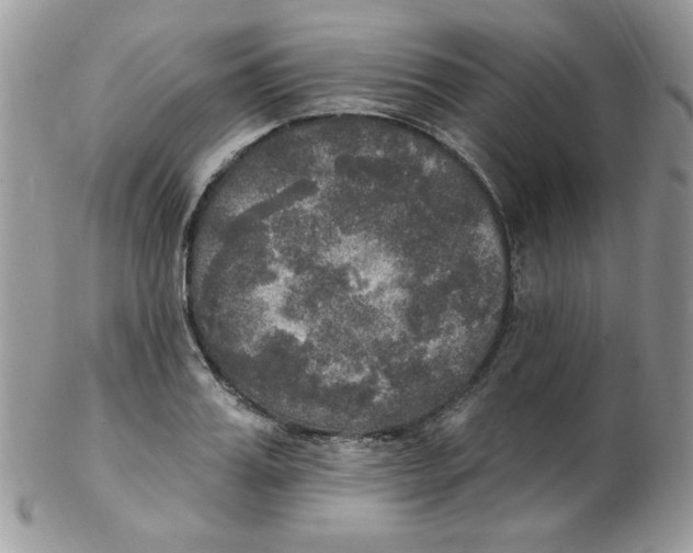 X0000102410987200808221907