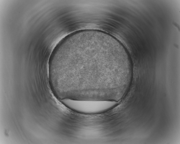 X0000102410988200808221907