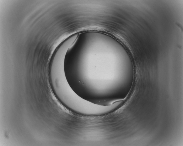 X0000102410989200808221907