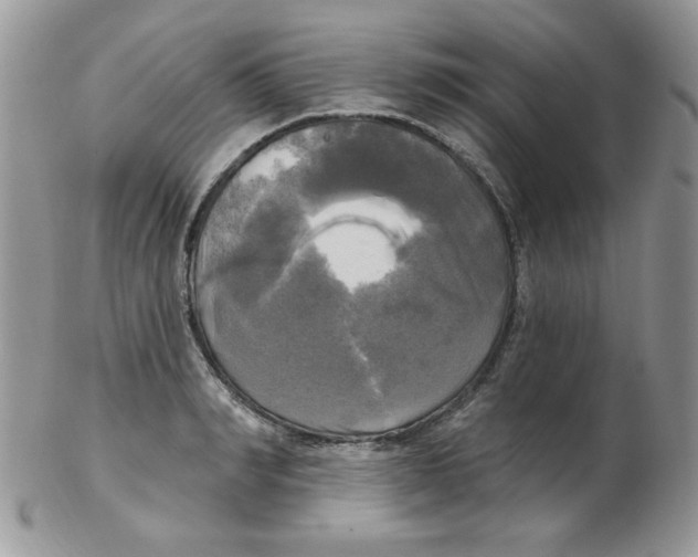 X0000102410990200808221907