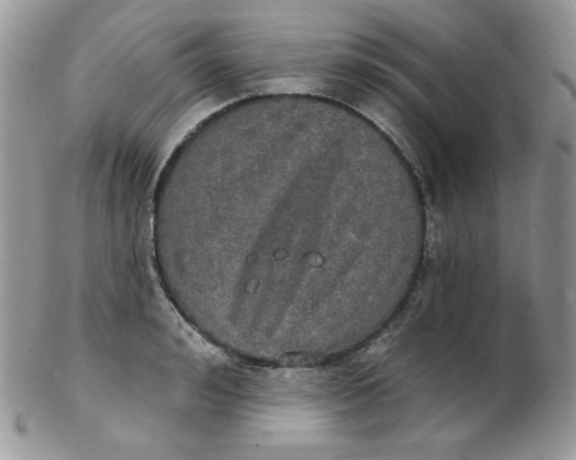 X0000102410992200808221907