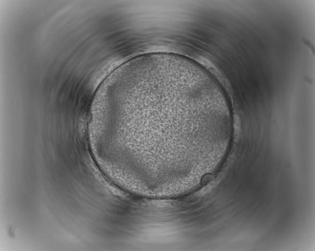 X0000102410993200808221907