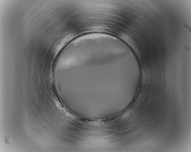 X0000102410994200808221907