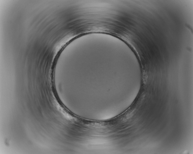 X0000102410995200808221907