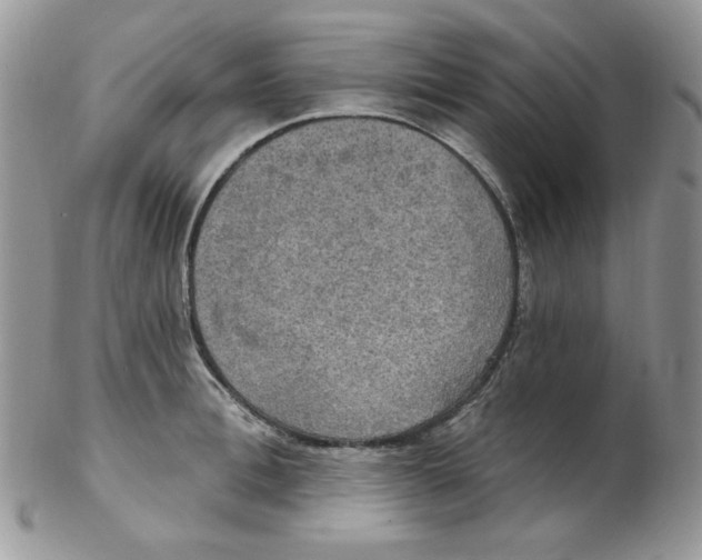 X0000102410996200808221907