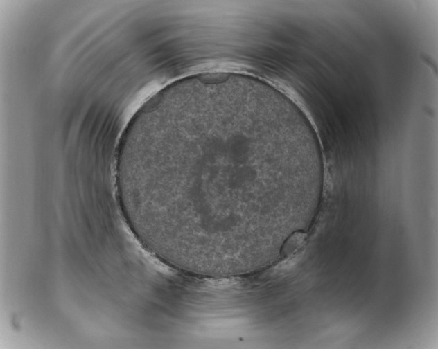 X0000102410997200808221907