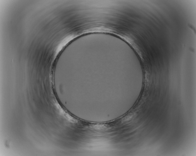 X0000102410998200808221907