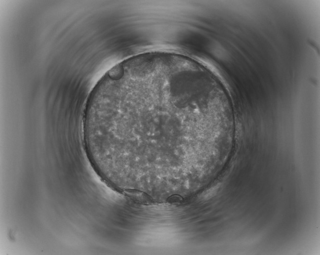 X0000102410999200808221907