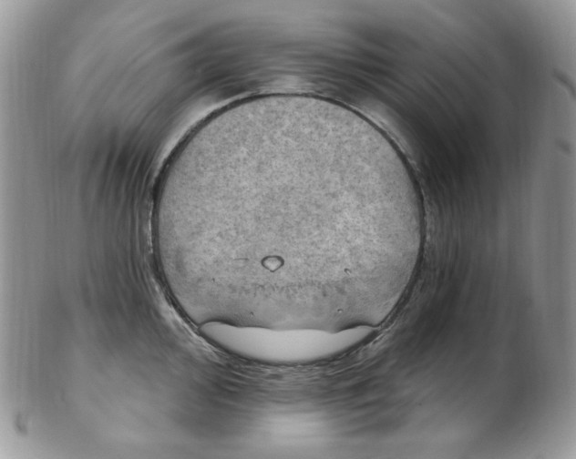 X0000102411000200808221907