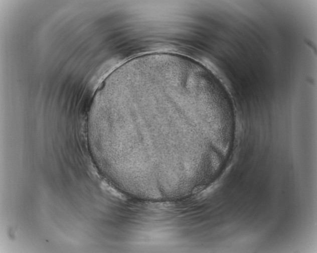 X0000102411001200808221907