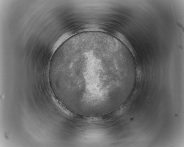 X0000102411002200808221907