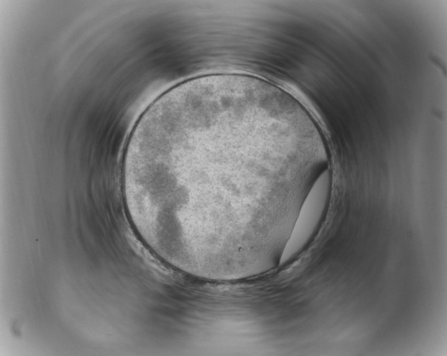 X0000102411004200808221907