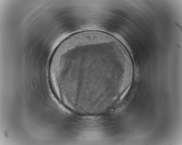 X0000102411005200808221907