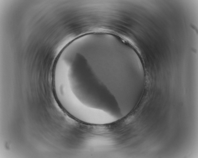 X0000102411007200808221907