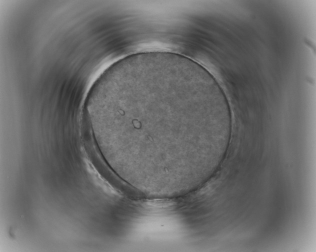 X0000102411008200808221907