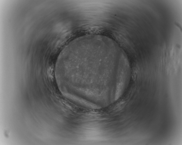 X0000102411010200808221906