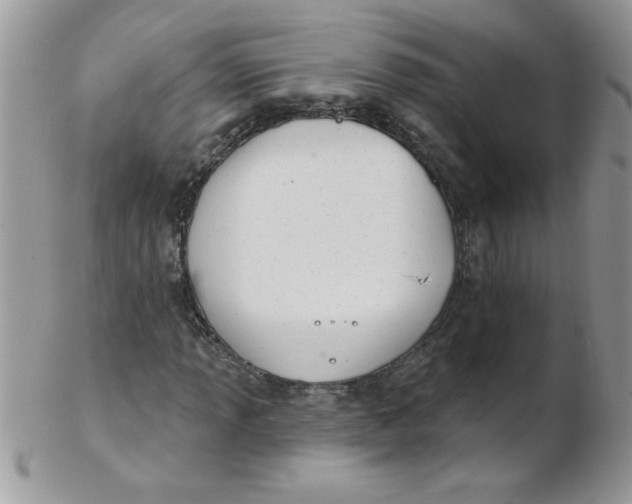 X0000102411013200808221906