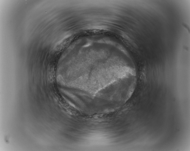 X0000102411014200808221906