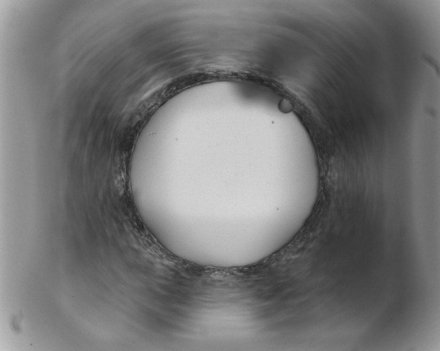 X0000102411015200808221906