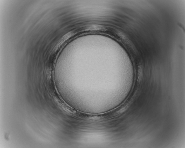 X0000102411017200808221906