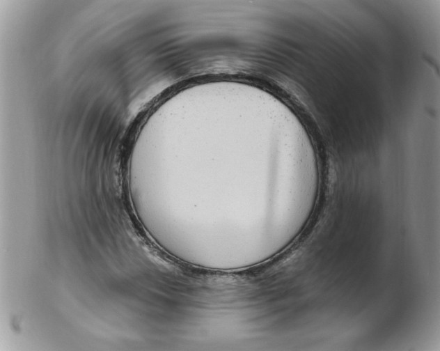 X0000102411018200808221906