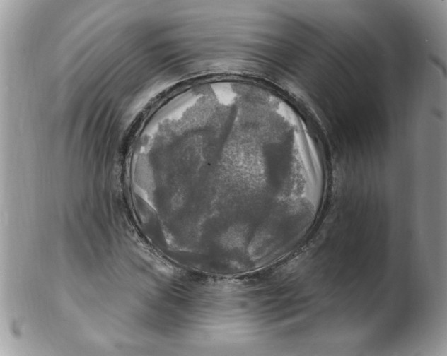 X0000102411019200808221906