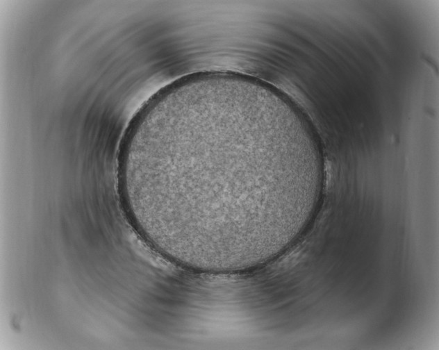 X0000102411020200808221906